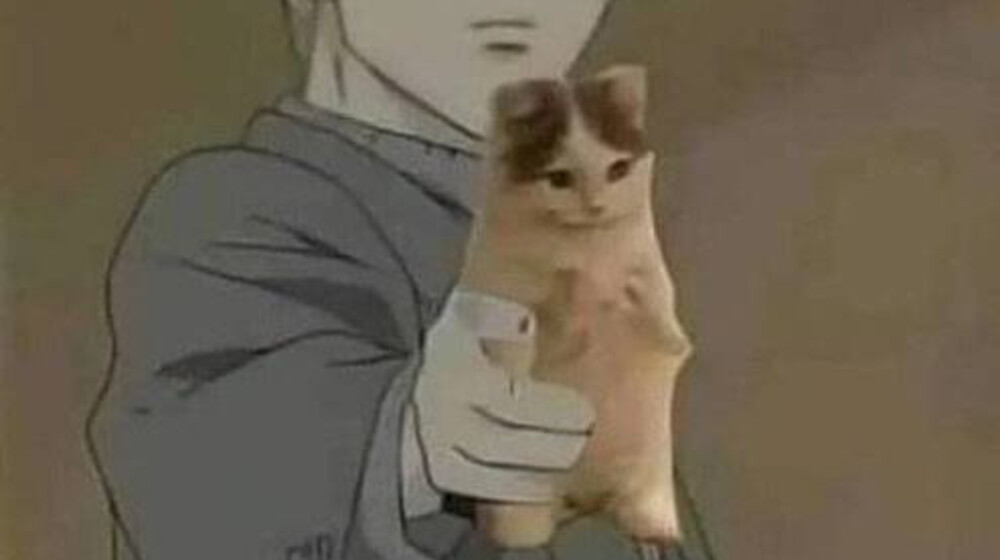 э литл бит оф philosophy