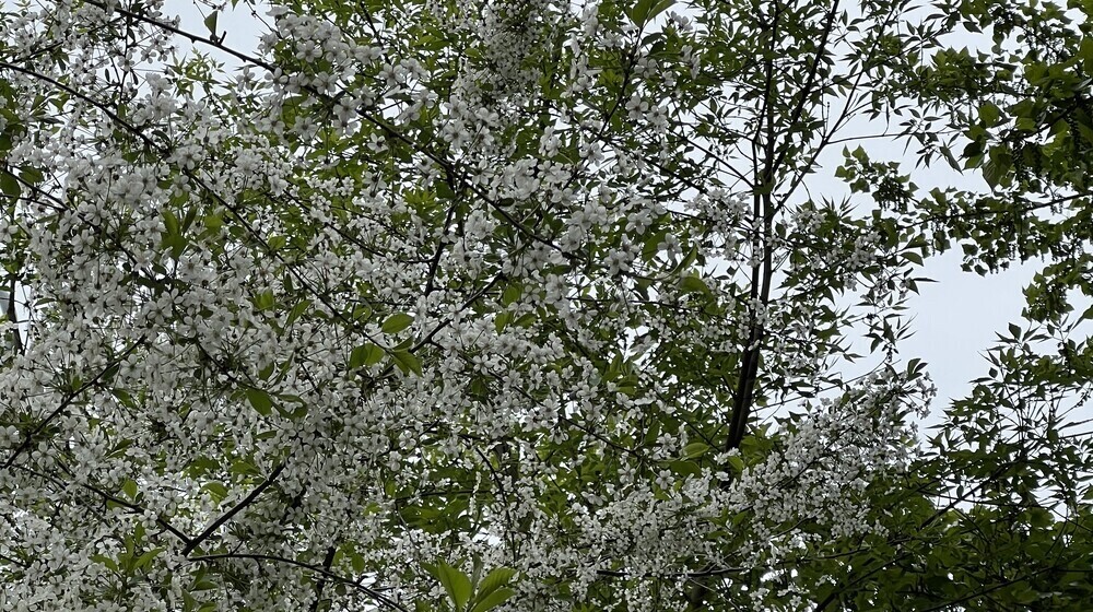 Красивое художественное