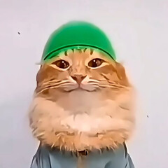 Рандомная полка(⁠・⁠o⁠・⁠)