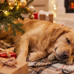 Добрые истории