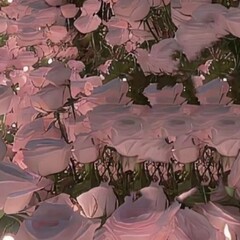 никогда не забуду и всегда буду любить