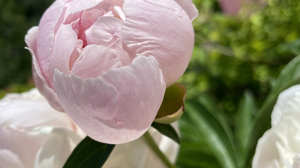 Образование, навыки, бизнес