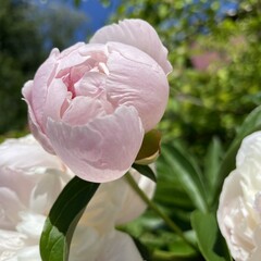 Образование, навыки, бизнес