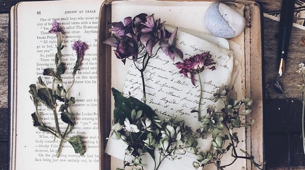 романы о сёстрах