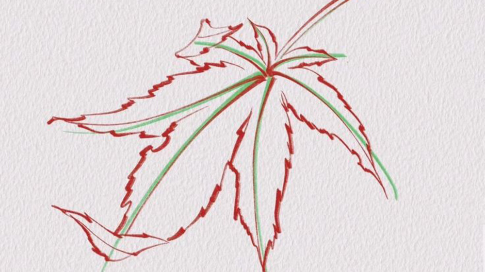 моё почтение