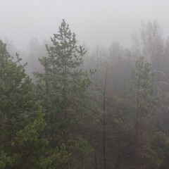 Книги на английском