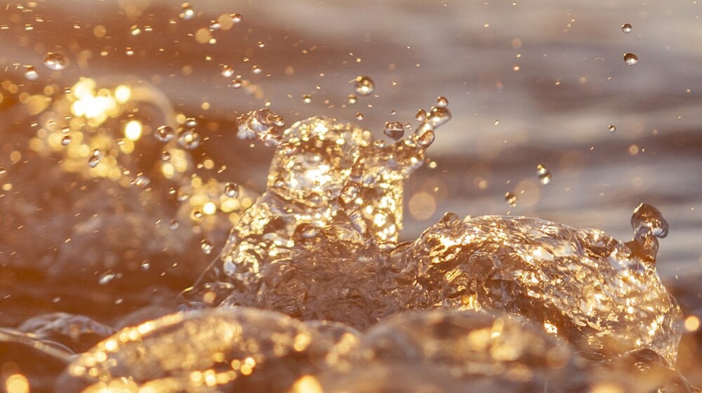 Артуро Перес-Реверте