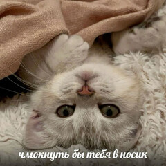 Путешествия