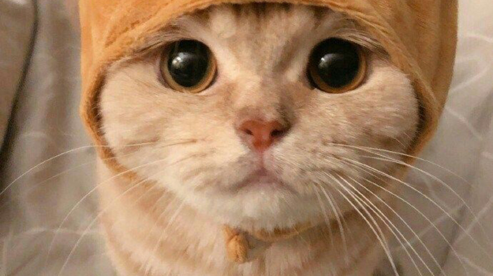 ❤💜~Прикольные (аудио)книги~💜❤