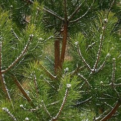 Хочу почитать. Научпоп, история, искусство