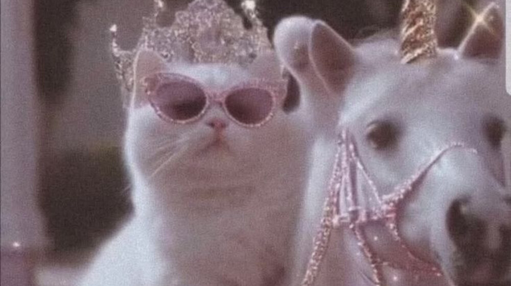 Любимые книги 2026