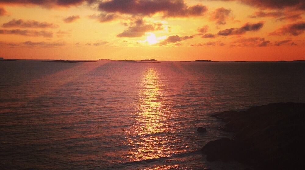 История/нон-фикшн