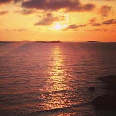 История/нон-фикшн