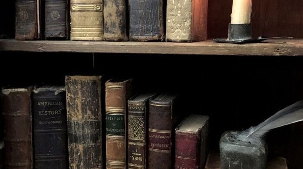 Не дочитала