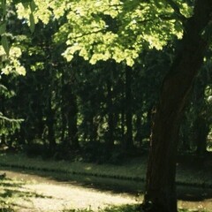 Настина Полка  