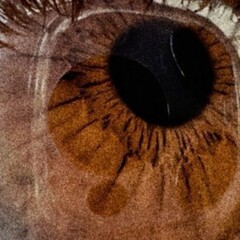 Игры Разума