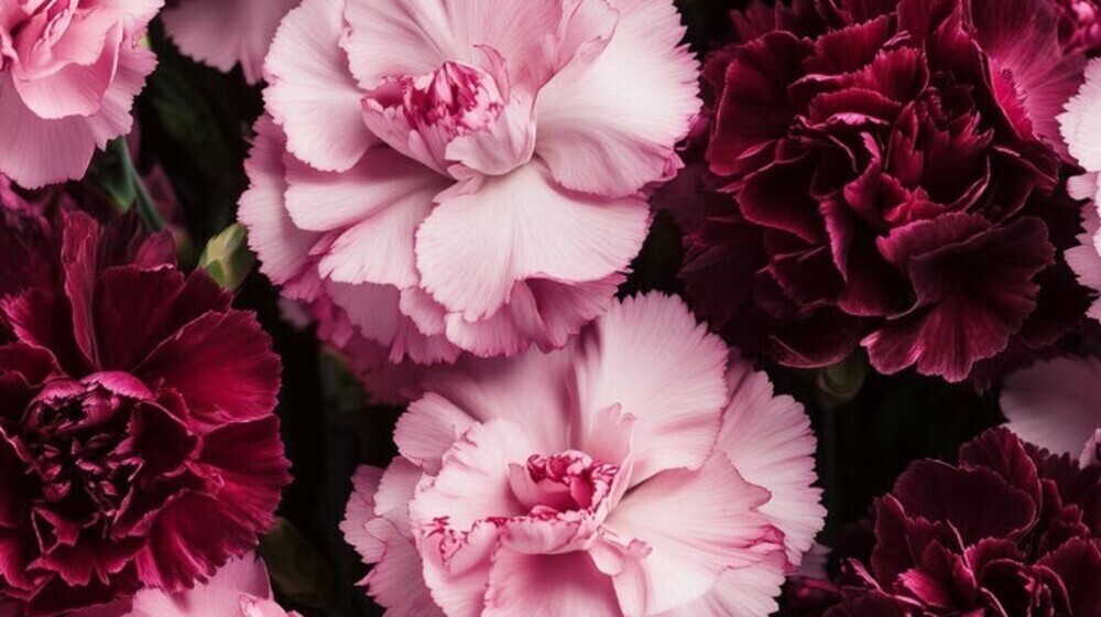 18+ кровь, слезы, п0rН и др.