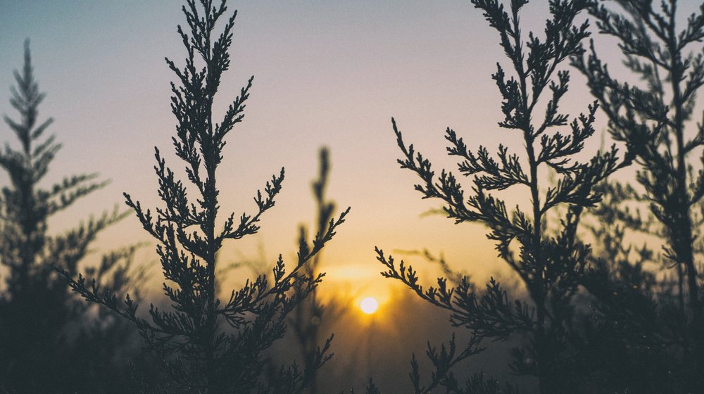 Книги реальных людей 