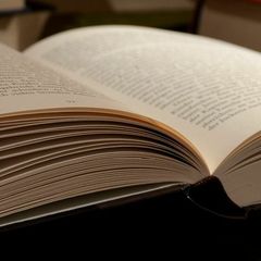 Филология, языкознание, литературоведение