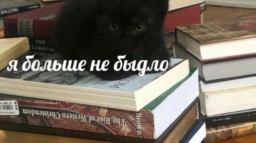 Психология