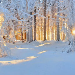 Школьная литература