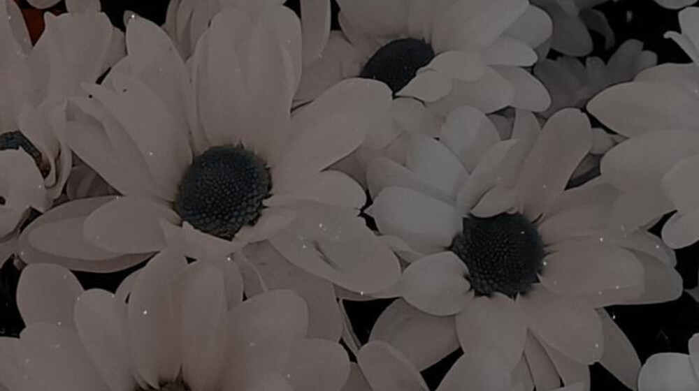 Литература о литературе