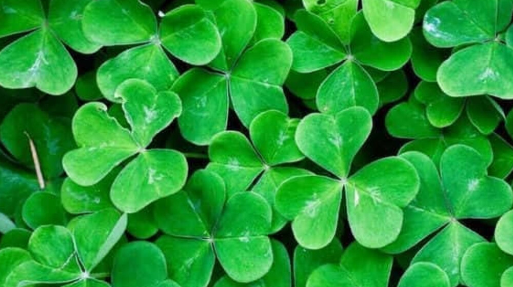 IT-Технологии