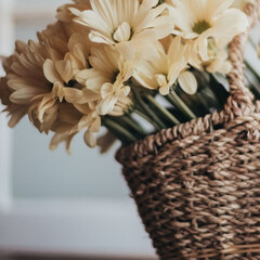 Про воспитание и отношения