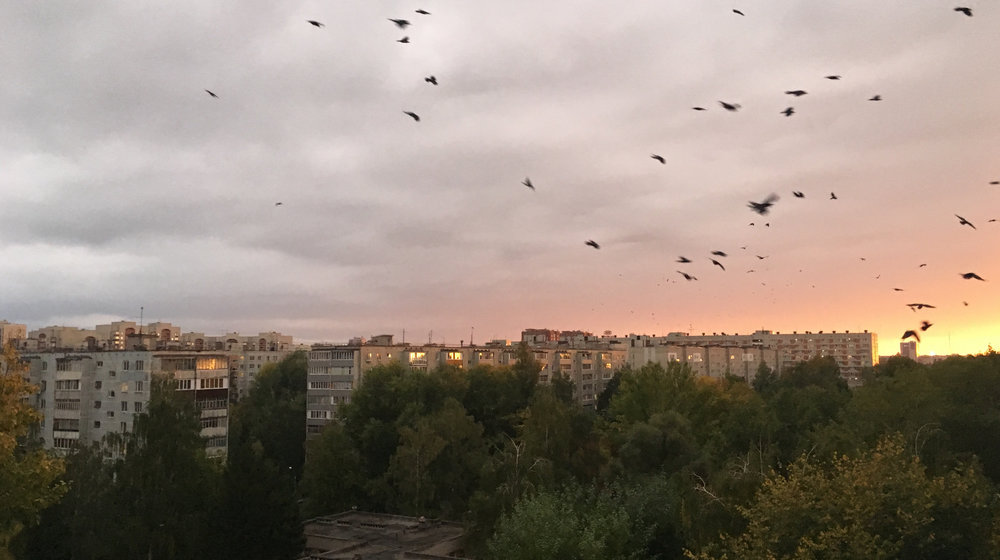 Что почитать