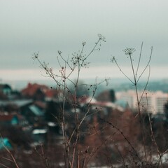 Главные новинки февраля в Яндекс Книгах