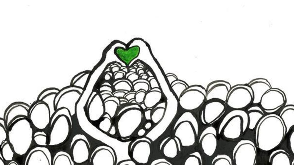 Бесплатное хорошее