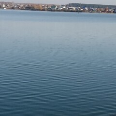 Новая проза