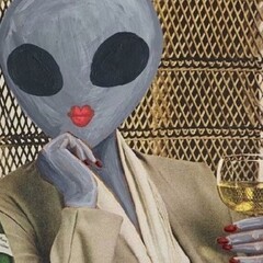 от врагов к возлюбленным. Софи Ларк.