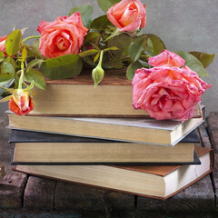 💝 Милые женские романы для душевного отдыха💝