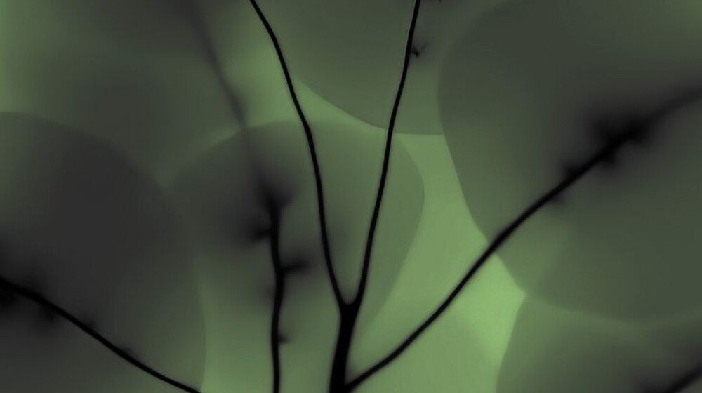 Сад/Огород/Фермерство