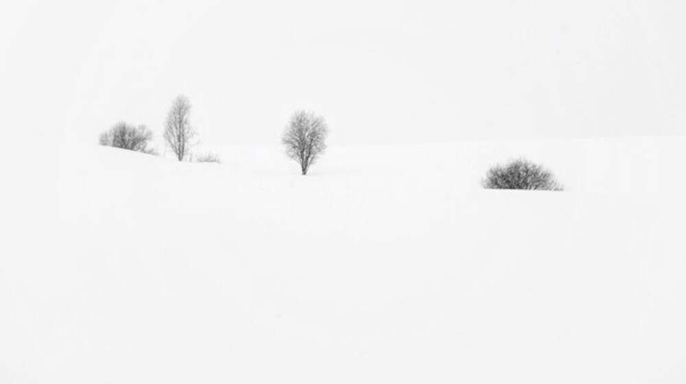 Книги февраль-март 2026