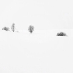 Книги февраль-март 2026