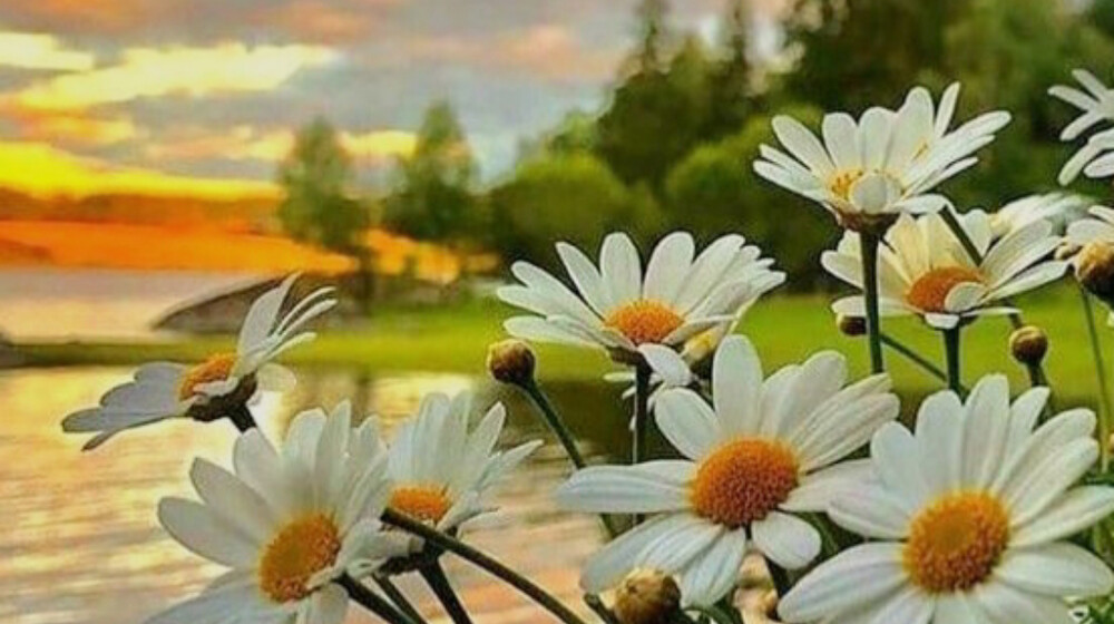 Саморазвитие