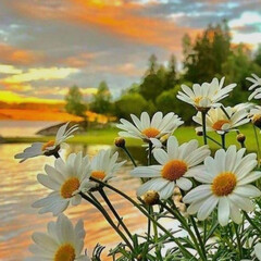 Саморазвитие