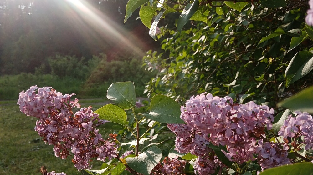 Психология и саморазвитие 