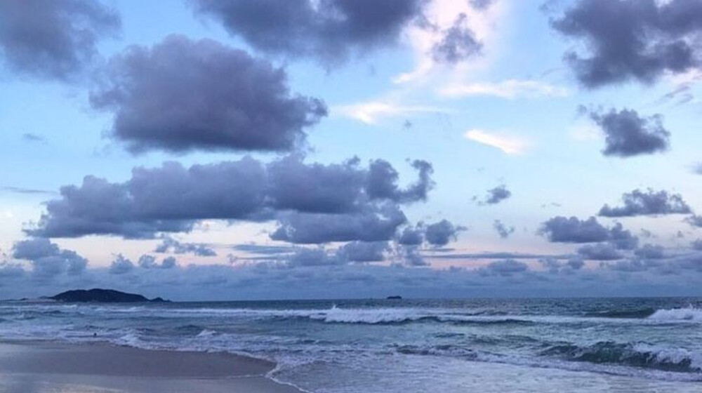 ☄️Прочитанные в 2024🍧 году