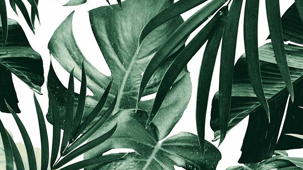 🥰То что мне хочется прочитать 🥰