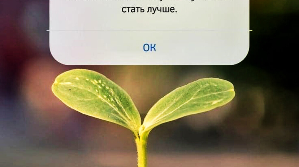 Психология - Мотивация