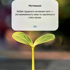 Психология - Мотивация