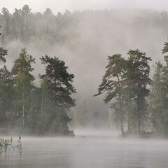 Детективы. Расследования убийства интриги.  