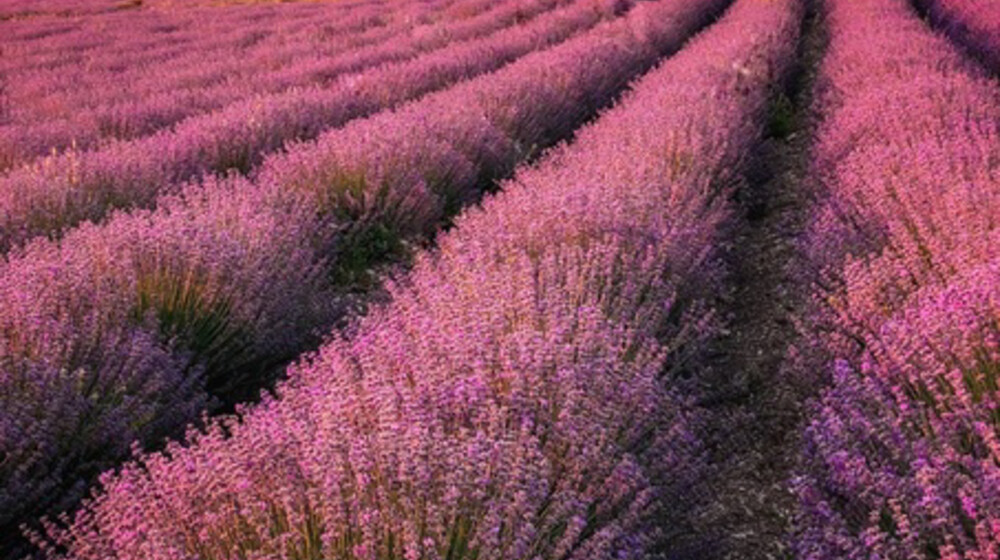 Книги март-апрель 2026