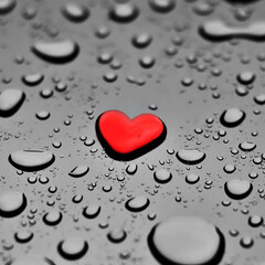 Саша. Лето 2025