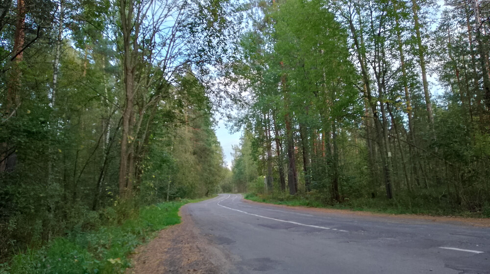 В процессе чтения.