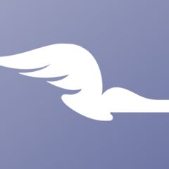 Большая книга 2011