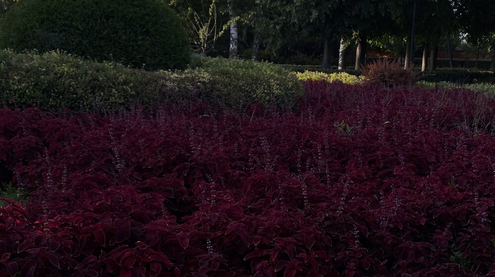 Страшилки на ночь 